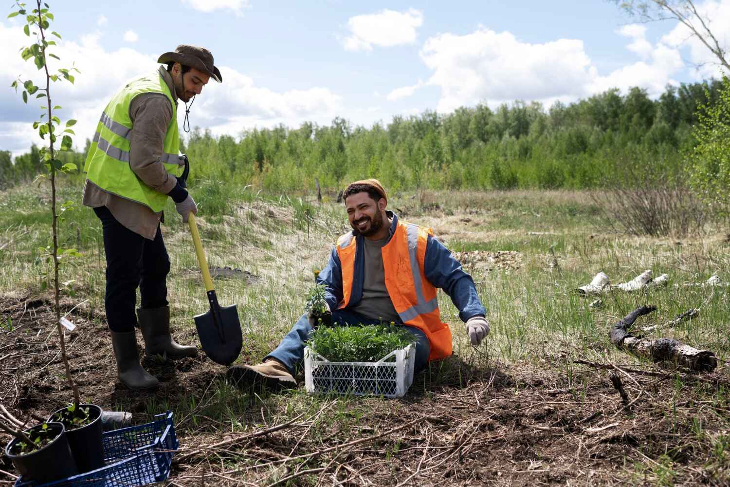 Best Arborist Services Near Me  in Lewiston, ME